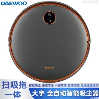大宇  全自动智能吸尘器智能遥控扫吸一体扫地机器人扫地机DYSD01