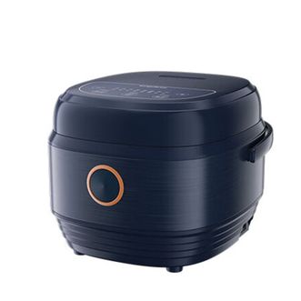 龙的（longde）  智能预约煲汤煮米饭杂粮粥多功能煮饭锅 自带蒸格可上蒸下炖 LD-FS301A 3L