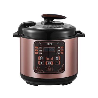 新飞/Frestec  5L 大容量多功能双胆电压力锅 XF(XC)AMN-H501D