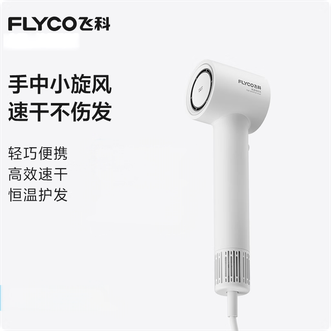 飞科/Flyco  高速电吹风机电吹风家用吹风筒大风力速干2亿+高浓度负离子柔顺护发