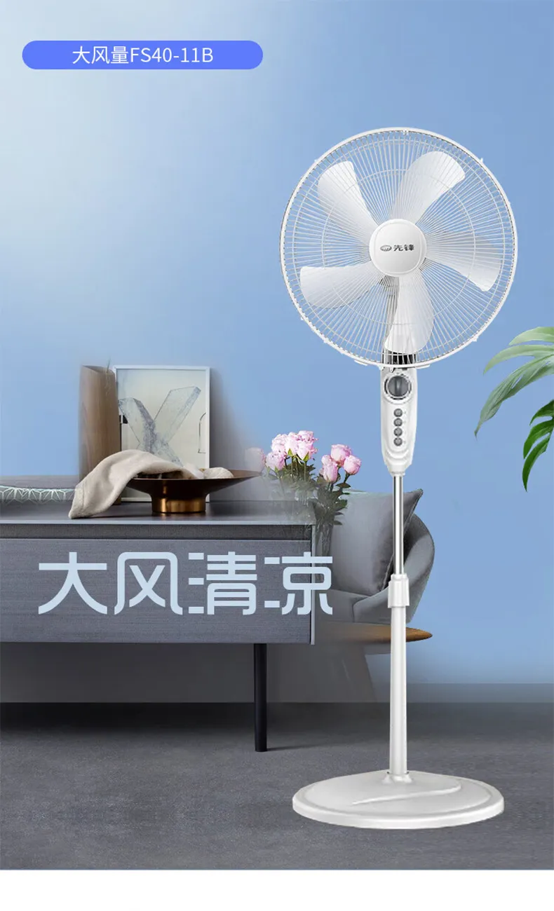 凤凰知音