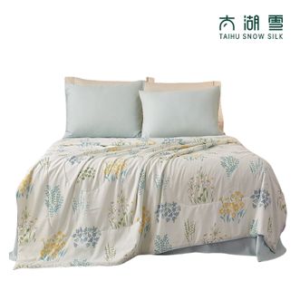 太湖雪  冰氧蚕丝被+60支贡缎全棉蚕丝凉被 植物凉感 冬暖夏凉 双面冰氧面料 可水洗夏被 夏凉被 微风薄荷 200cm*230cm