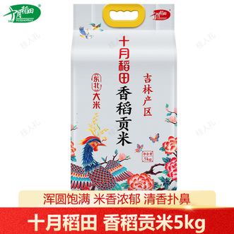 十月稻田  香稻贡米5kg 优质一级大米 真空锁鲜 米粒饱满粒粒清香
