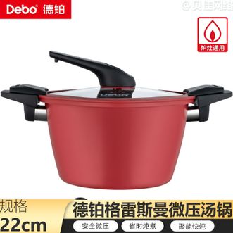 德铂（Debo）  雷斯曼汤锅微压锅汤锅22cm炖锅粥锅汤煲DEP-878红色