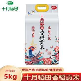 十月稻田  香稻贡米5kg 优质一级大米 真空锁鲜 米粒饱满粒粒清香
