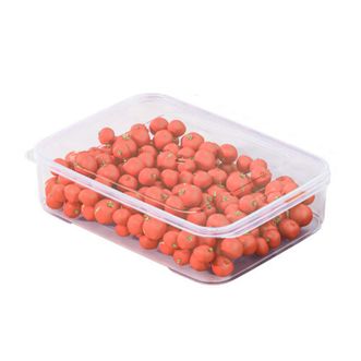 禧天龙  4.5L冰箱保鲜盒蔬果冷冻盒单只装H-4049