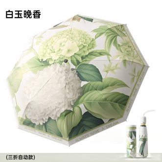 美度MAYDU   防晒防紫外线太阳伞 黑胶插画晴雨两用伞 8骨折叠实木柄雨伞 三折自动-白玉晚香