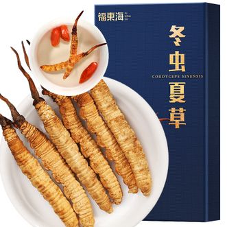 福东海  冬虫夏草1g（4-5条）