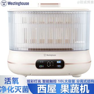 西屋/Westinghouse  家用果蔬清洗机洗10L大容量 智能触控分离结构快速洁净食材果蔬机