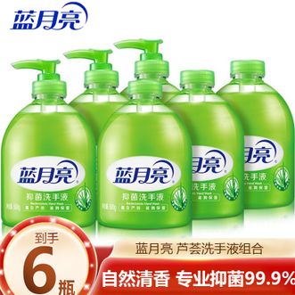 蓝月亮  芦荟抑菌洗手液套装:500g*3+瓶装补充装500g*3 专业抑菌99.9%健康防护