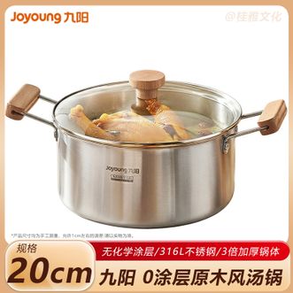 九阳/Joyoung  汤锅20cm 家用316不锈钢汤锅煮面煮粥煲汤锅一锅多用 不挑炉灶