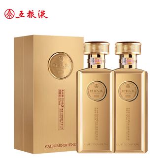 五粮液  财富人生金砖 纯粮食白酒 52度500ml 两瓶 送礼佳品
