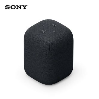 索尼/Sony  无线蓝牙音箱 LinkBuds SRS-LS1  黑色 音乐盒 质感人声音响 25小时续航 支持快充 无线充电底座 家居艺术桌面礼物