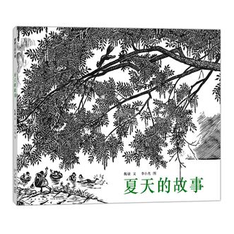 蒲蒲兰绘本馆  夏天的故事 还记得童年时的夏天吗？