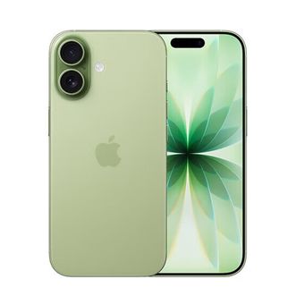 苹果/Apple  iPhone 17 256GB  鼠尾草绿色
