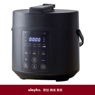olayks.  电压力锅  2L小迷你智能小型电高压锅自动多功能预约饭煲家用1-3人升快煮饭多功能高压锅一锅多用2L  YBW2001