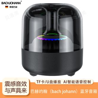 巴赫约翰/bachjohann  蓝牙音箱无线HIFI高保真音效大容量续航音响360°全向音效RGB炫酷灯光 Q3Plus