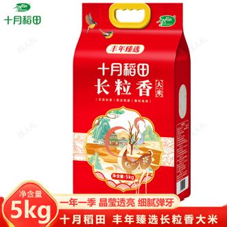 十月稻田  丰年臻选长粒香大米5kg圆润饱满色泽莹润透亮