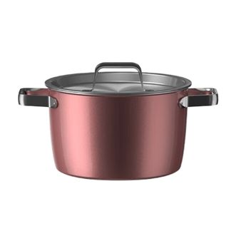 WMF  奈彩米系列原汁炖汤锅家用煮汤锅煲汤锅22cm