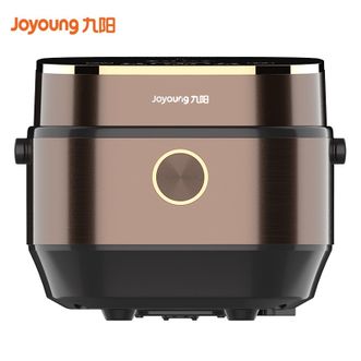 九阳（Joyoung）电饭煲铜釜内胆2升L家用迷你小电饭锅预约触摸式智能控制F-20FY1 棕黑色
