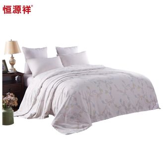 恒源祥 曼妙冰沁蚕丝被 春秋被空调被 200*230cm 恒源祥 曼妙冰沁蚕丝被 春秋被空调被 200*230cm