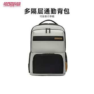美旅/American Tourister  双肩包17英寸电脑包男商务出差减震大容量高端背包防泼水NE2*35002