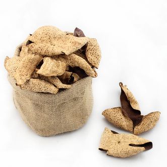 地道泡DP  正宗新会陈皮广东特产东甲产区五年陈皮泡茶煲汤送礼袋装50克