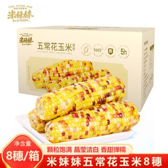 米妹妹  五常花玉米8穗 颗粒饱满 软糯香甜 口感Q弹 精选五常玉米 营养早餐代餐即食玉米