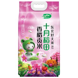 十月稻田  香稻贡米 东北大米 5kg