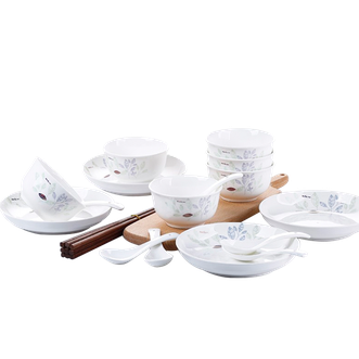 爱依瑞斯.ARIS  清新怡人22头陶瓷北欧风餐具AS-D2216H