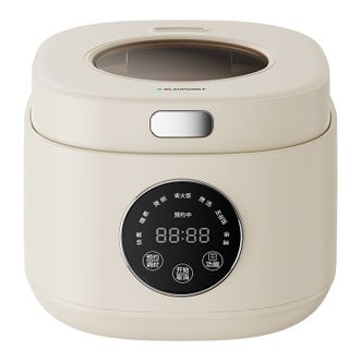 BLAUPUNKT  德国蓝宝智能电饭煲 可视电饭煲 2L容量米饭多功能预约电饭锅 BP-FBH2 白色